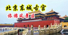 欧美操B最猛的在线視频中国北京-东城古宫旅游风景区